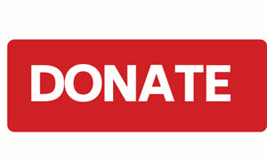 donate to the foundation 